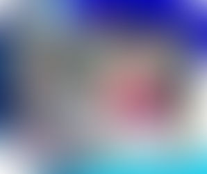 Según los informes del incidente en Minneapolis, Renee Good sufrió cuatro heridas de bala.