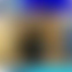 Las actividades de ICE en Minnesota causan problemas en las escuelas, dicen los educadores, otro alumno fue arrestado el martes