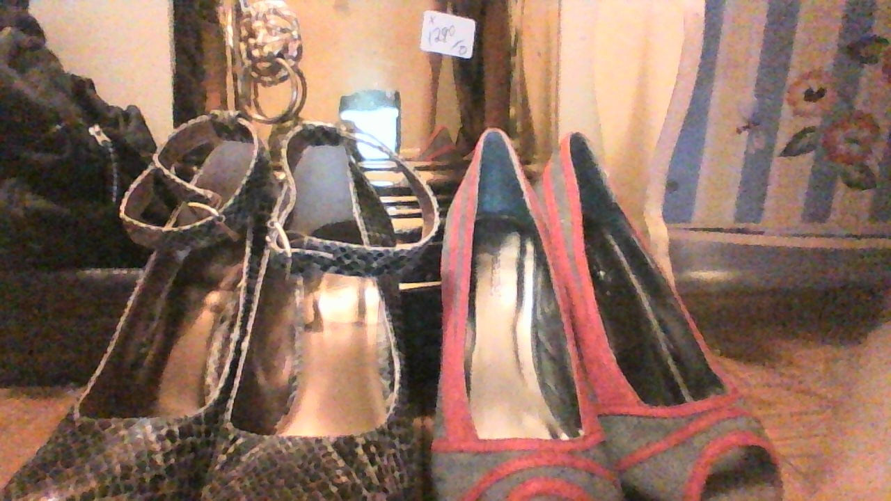 stelethoes shoes by shoe dazzle