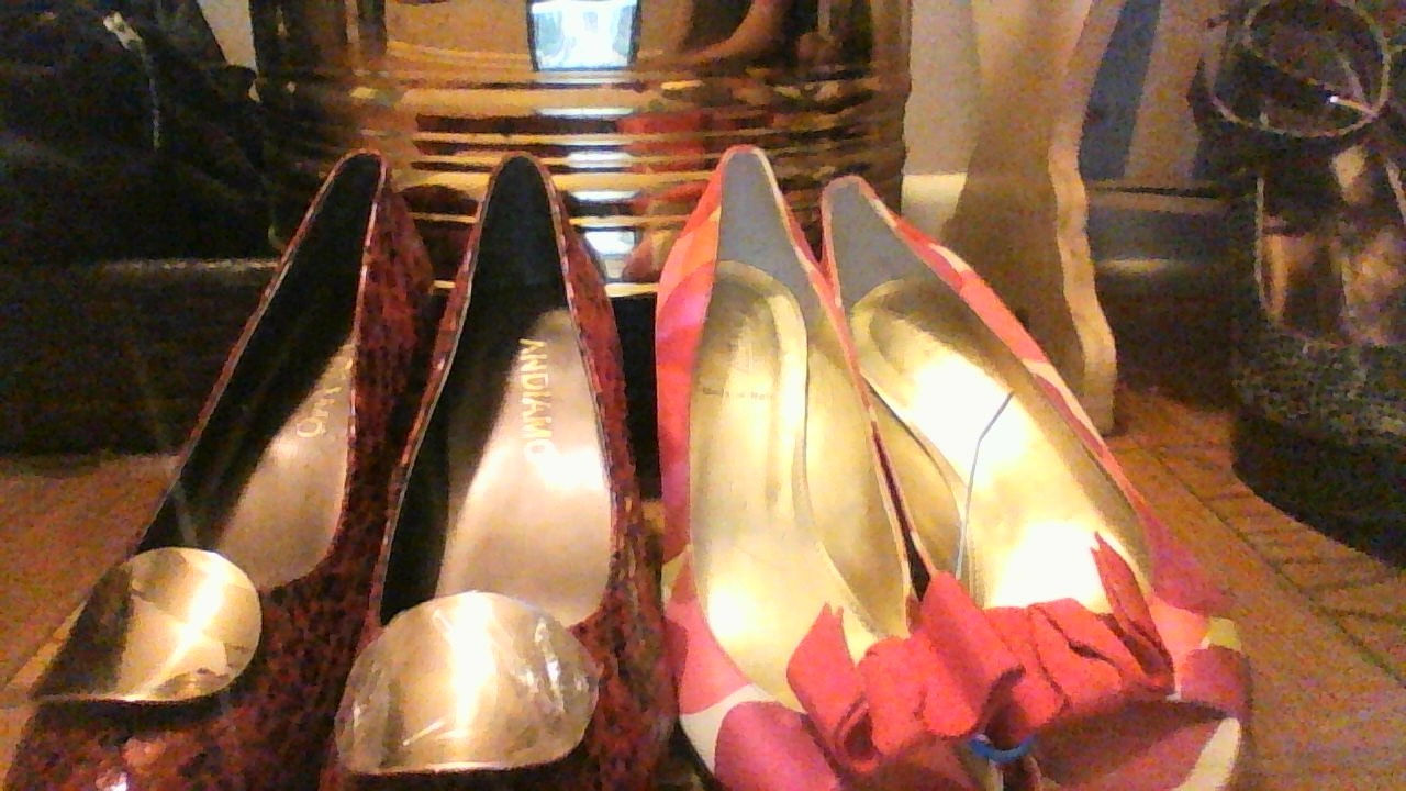 red snake skin shoes by Andiamo and satin by J Crew