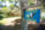 Blue sign with yellow writing reading "firefly house"