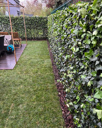 aménagement de jardin