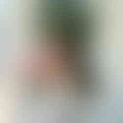 woman with pink fan on holiday