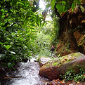 P5231192.JPG