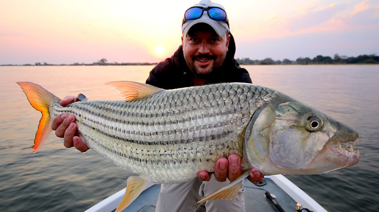 tigerfish.jpeg