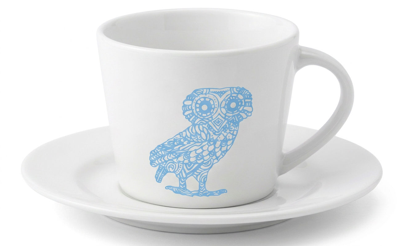 Wise Owl cappuccino cup with plate