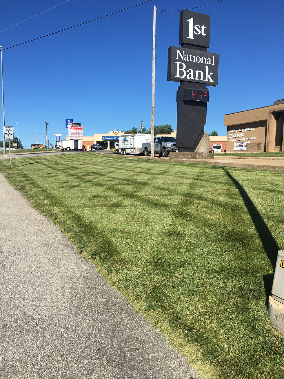 09_Lawn_IMG_1486.JPG