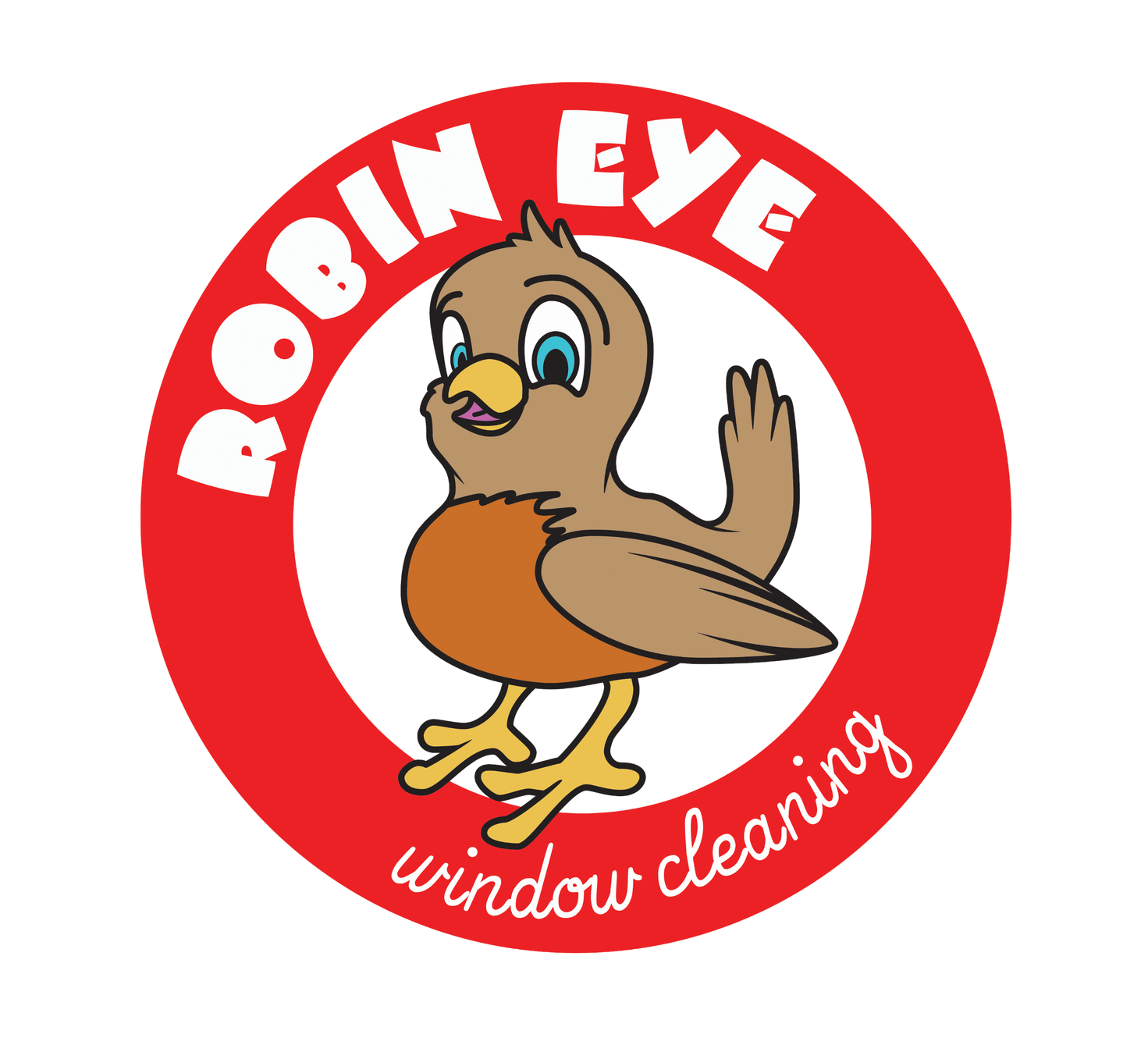 Pressure Washing Robin Eye Windows