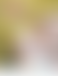 Feliz Dia das Mães!