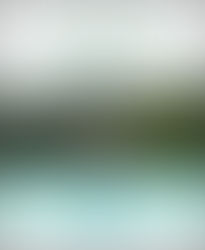 Associação Mahatma Gandhi comemora Dia Mundial do Meio Ambiente