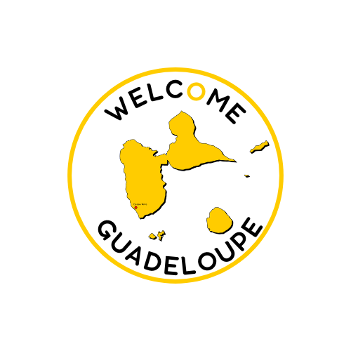 Colonie 2024 Stage de Basketball Guadeloupe