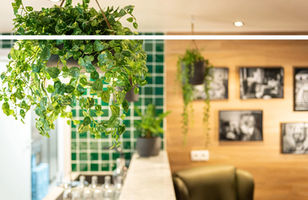WZC Keyhof , Froyen&Zeitler, hangplanten, kunstplanten, planten huren, planten kopen, interieurbeplanting