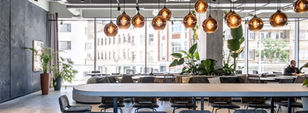 Botanic Tower Brussel aankleding met jungle en tropische planten, huren voor horeca in opdracht van Nachtraven