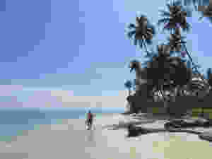 Pulau Palambak