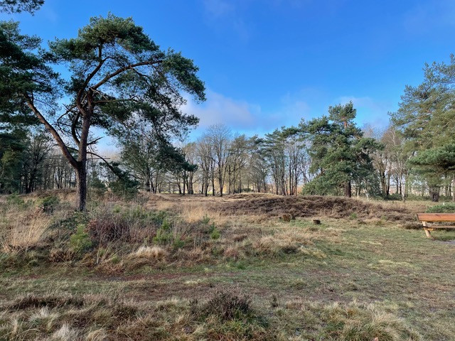 speuldepad-klompenpad-staverden