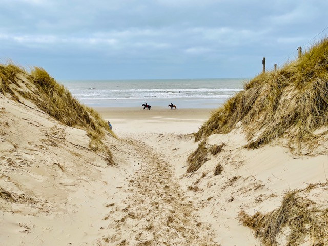 wandelroute-schoorl