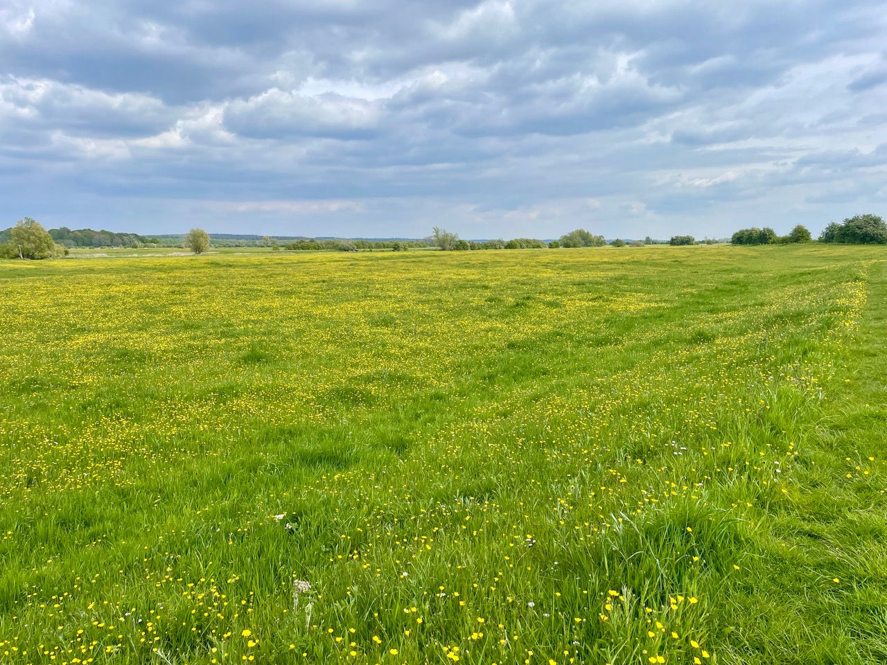 Trekvogelpad-etappe-12