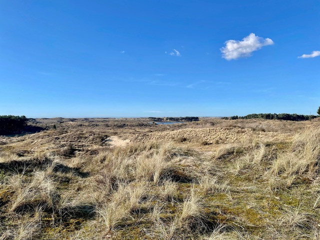 wandelroute-parnassia
