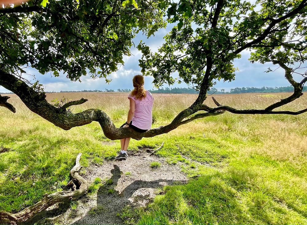 wandelen-deelerwoud