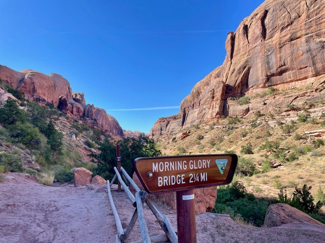 mooie-trail-arches