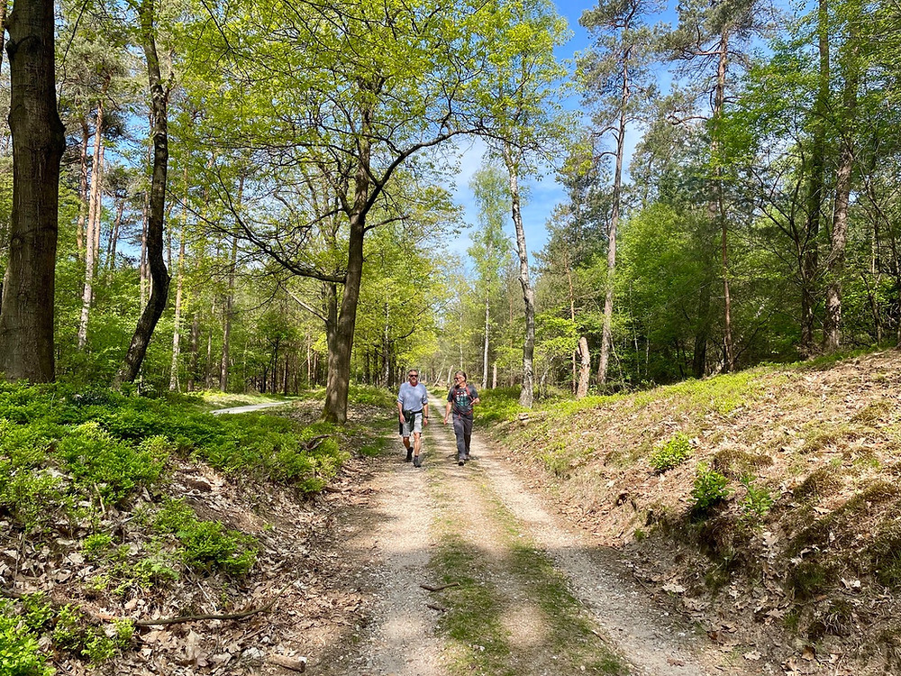 Trekvogelpad-veluwe