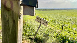 Klompenpad Thornspiccerpad: eindeloos wandelen rond Elburg