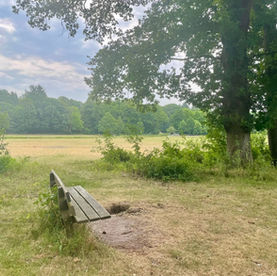 Wandelen Renkums Beekdal: keuze uit vele wandelroutes