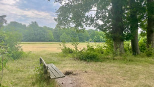 Wandelen Renkums Beekdal: keuze uit vele wandelroutes