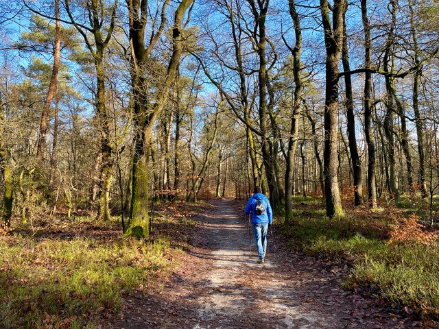gele-zwerfkeien-wandelroute-loenen