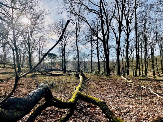 wandeling-velp