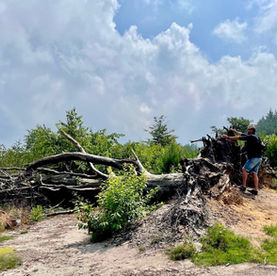 Wandelen ‘t Leesten, Ugchelen: de paarse paaltjesroute en meer….