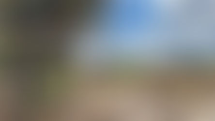 Wandelen Radio Kootwijk: heideroute met historie