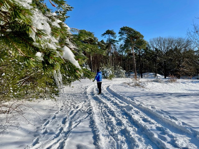 Reindersmeer-wandelen