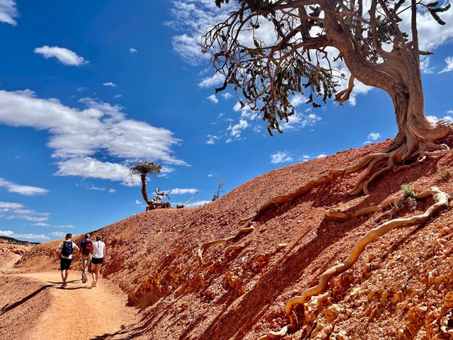 mooie-trail-bryce