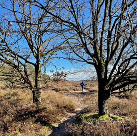 Gele Zwerfkeienroute: prachtig wandelen in Loenermark