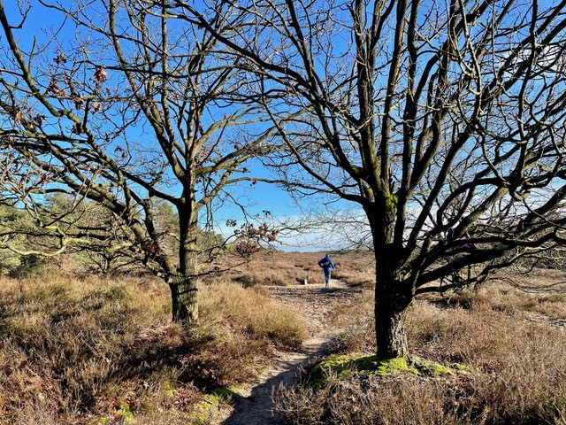 gele-zwerfkeien-wandelroute-loenen