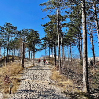 wandelen-schoorl