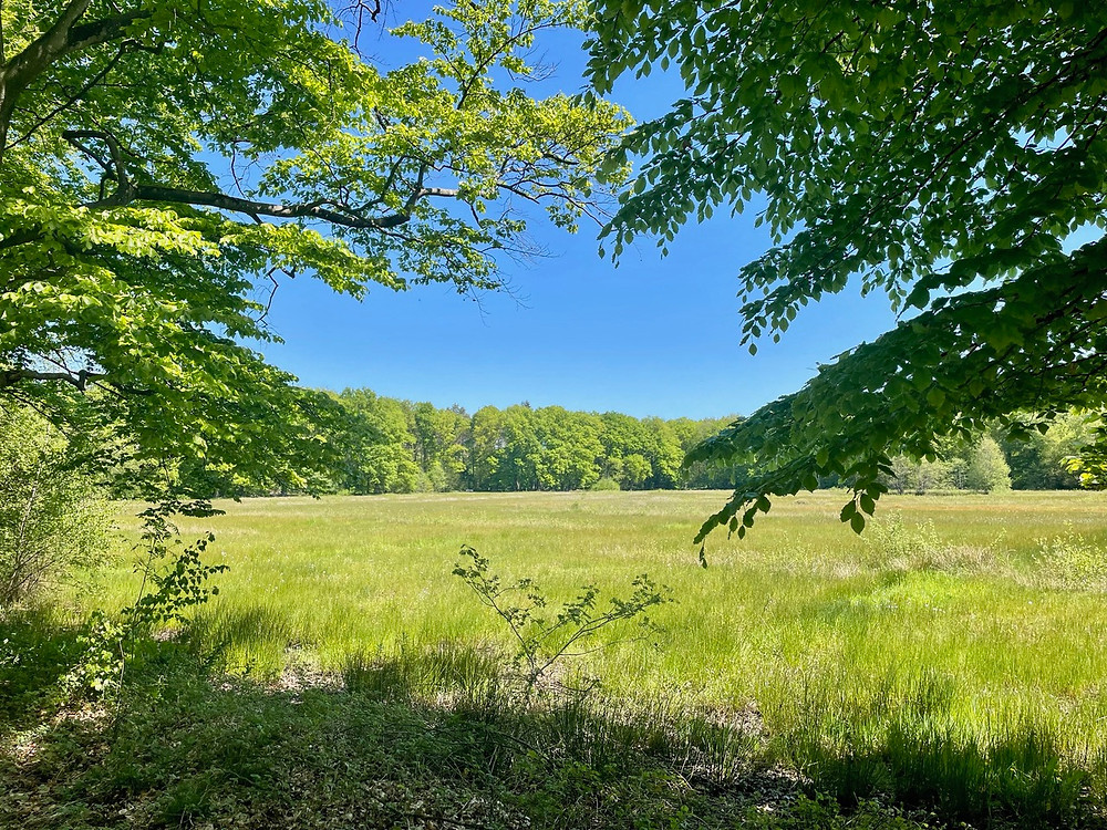 Trekvogelpad-etappe-22