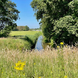Wandelen Renswoude: Klompenpad Daatselaarsepad