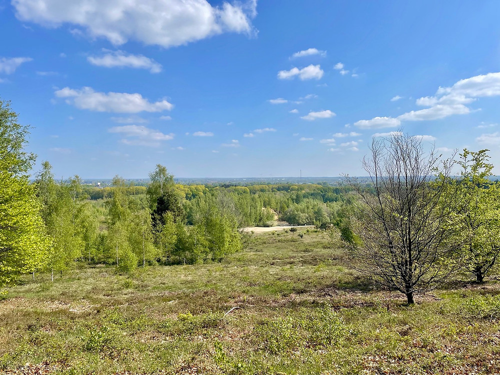 Trekvogelpad-etappe-13