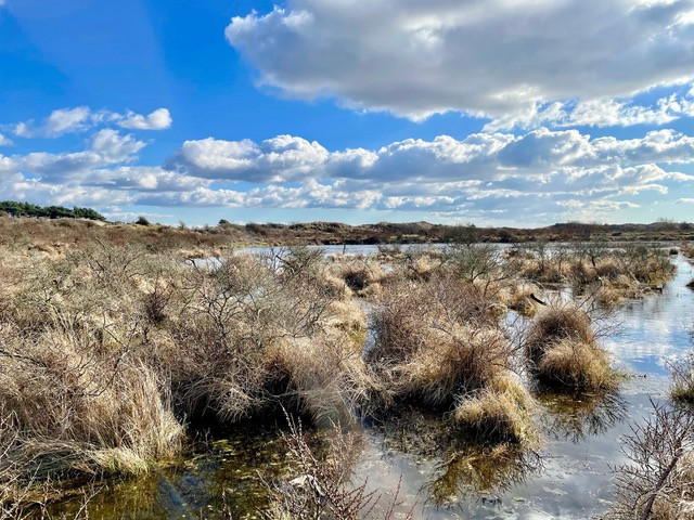 wandelroute-parnassia