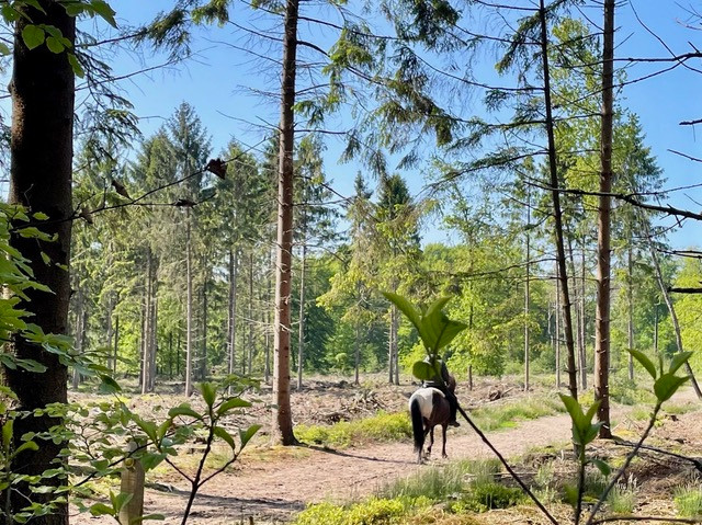 Leemkuilroute-Amerongen