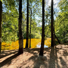 NS wandeling vanuit Amersfoort: 10 km wandelplezier