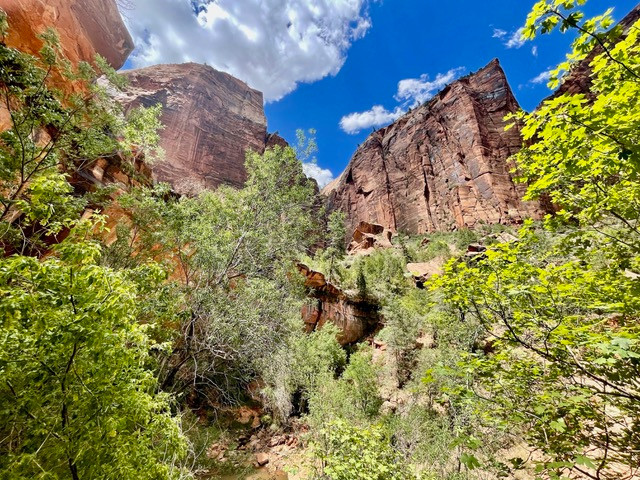 mooie-trail-zion