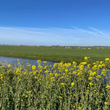 Trekvogelpad Etappe 2: Alkmaar – Graft 