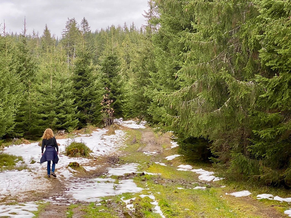 zell-am-see-wandelen