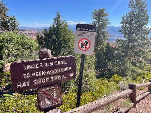 mooie-trail-bryce
