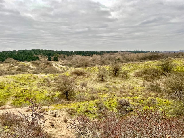 wandelroute-kennemerland