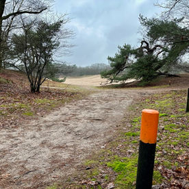 Wandelen Soesterduinen: zandbak- gevoel ten top!