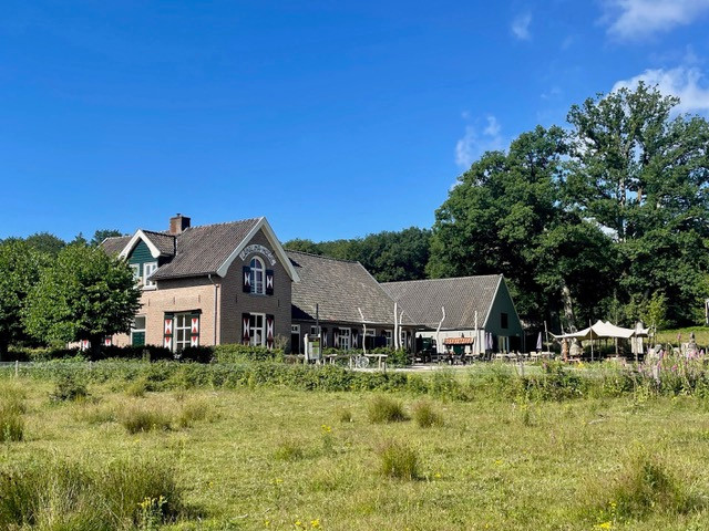 ns-wandeling-dieren-rheden